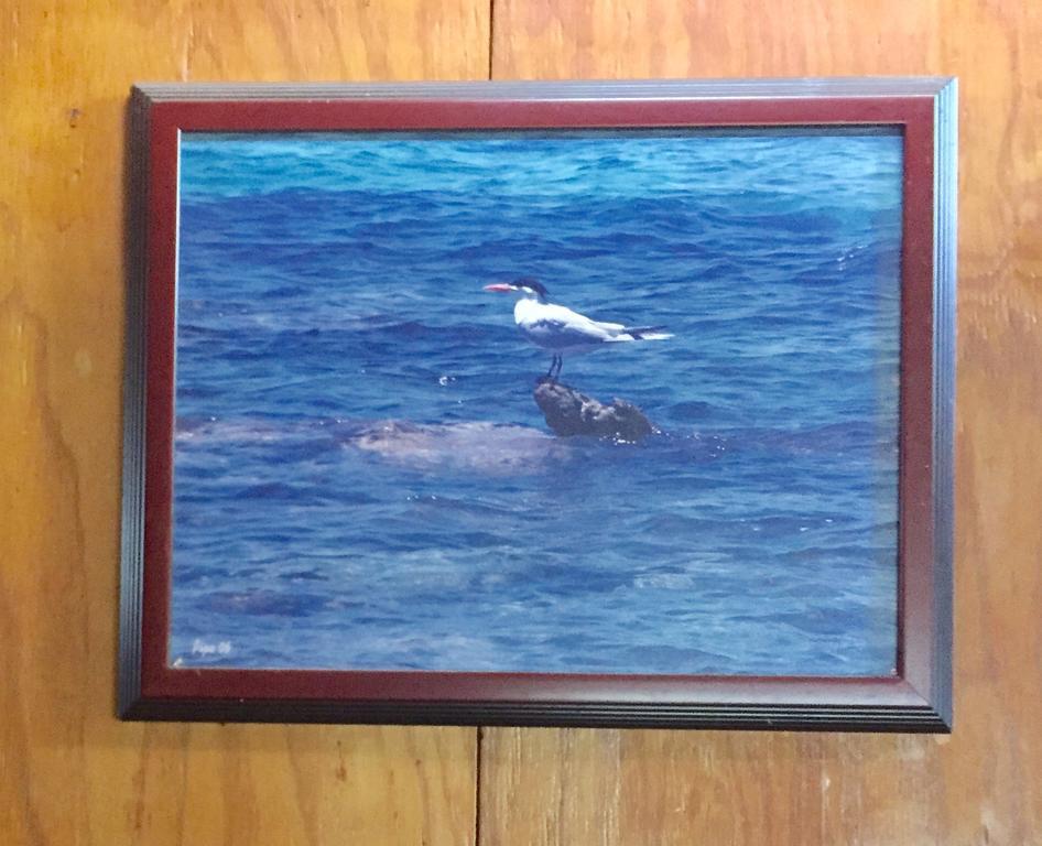 Dancing Tortugas Hotell Aguadilla Eksteriør bilde